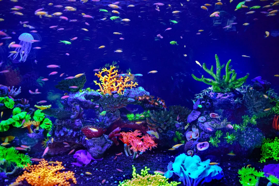 aquarium filter water pump