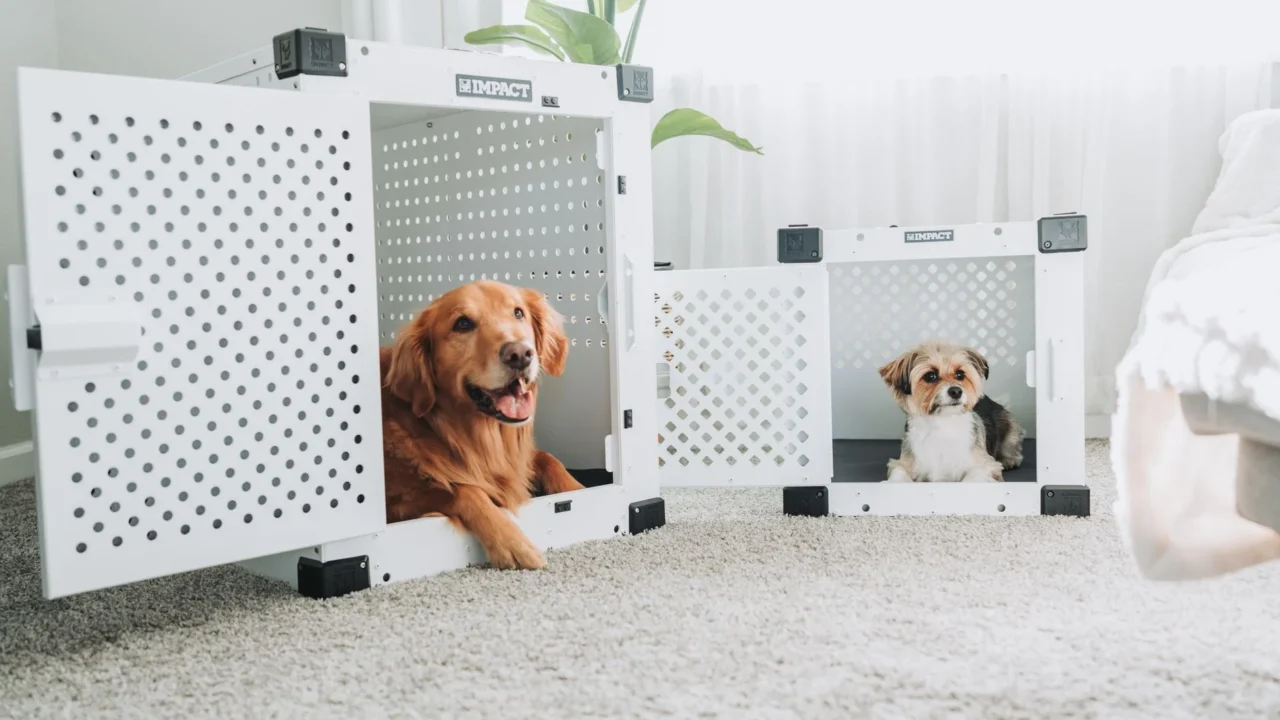 dog carrier cat crate