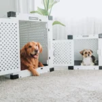 Harga Pet Cargo Ukuran Sedang Terbaru 2026
