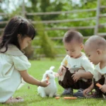 Cara Merawat Kelinci Rumahan Agar Tidak Stres