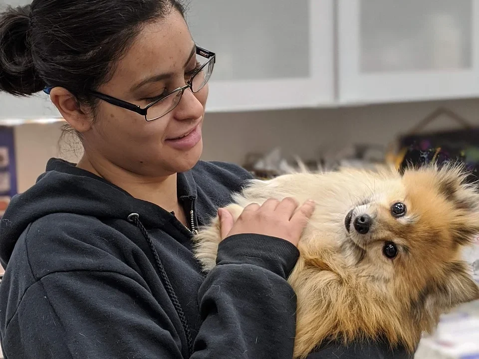 veterinarian dog vaccine